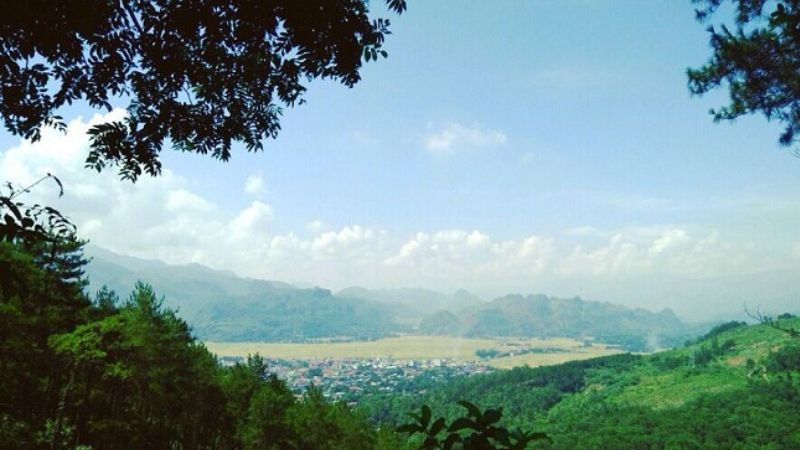 Rừng thông Noong Cốp