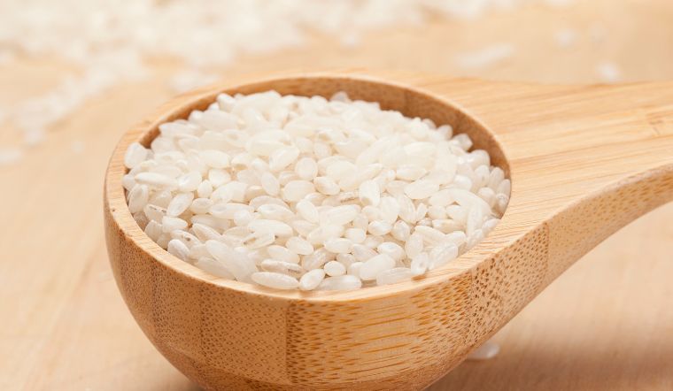 Giá lúa gạo hôm nay 14/3/2023: Không có biến động mới