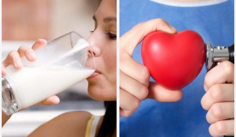 Sữa gai dầu giúp ngăn ngừa các bệnh về tim mạch