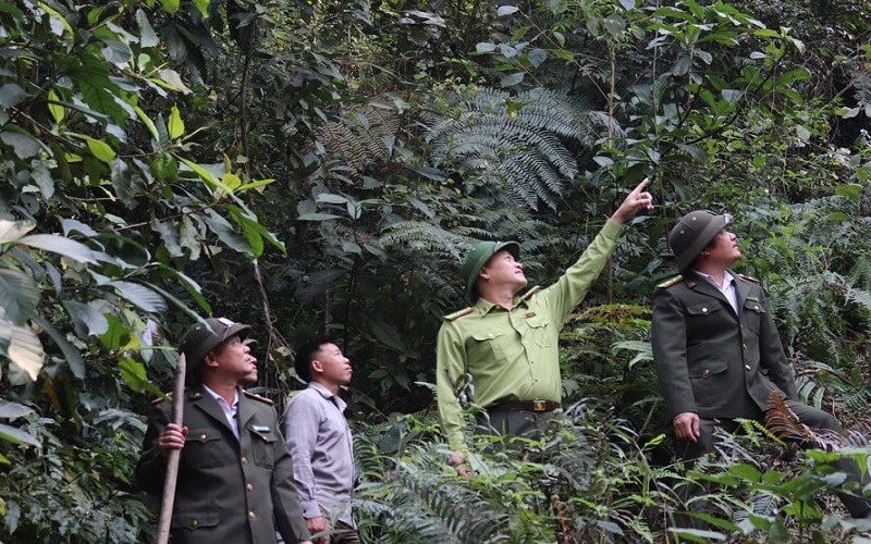 Xuan Nha Nature Reserve