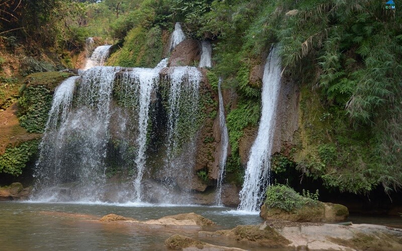 Xuan Nha Nature Reserve is one of the important reserves of Vietnam.