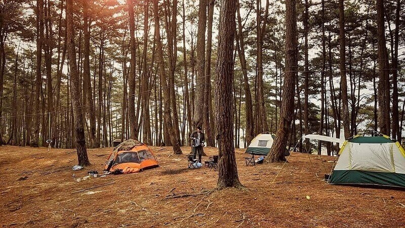 Hua Tat pine forest has a cool, fresh climate.