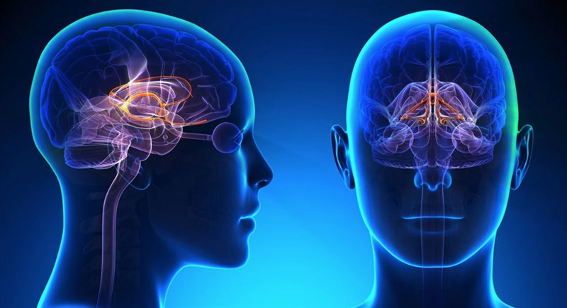 Samsung hỗ trợ chẩn đoán Alzheimer