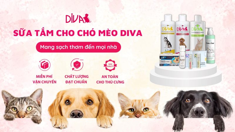 Thương hiệu DIVA dành cho thú cưng