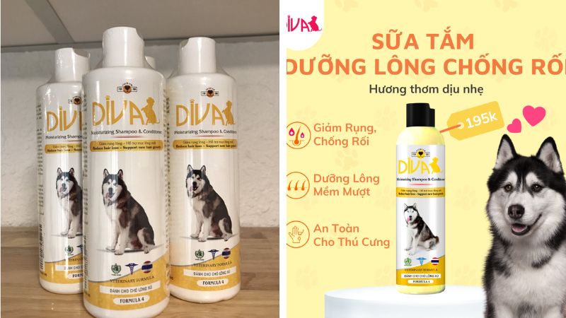 Sữa tắm chó mèo DIVA vàng dưỡng lông chống rối