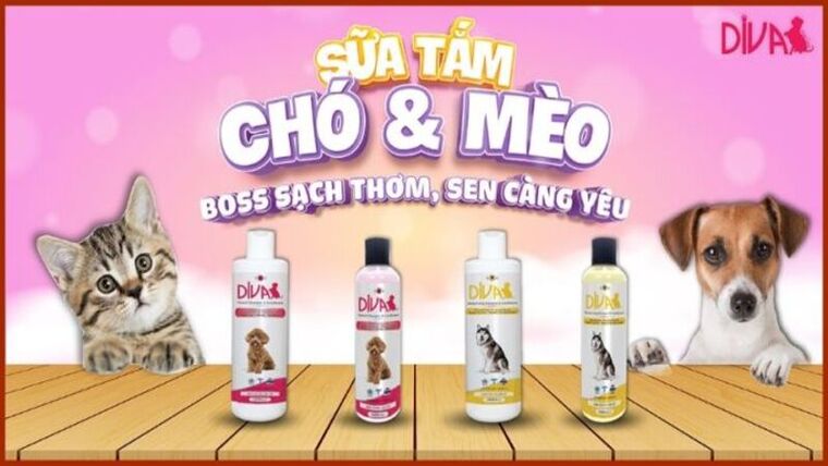 Review sữa tắm chó mèo DIVA chống rối, khử mùi hiệu quả