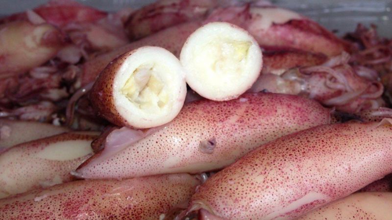 How to choose and buy fresh and delicious egg squid