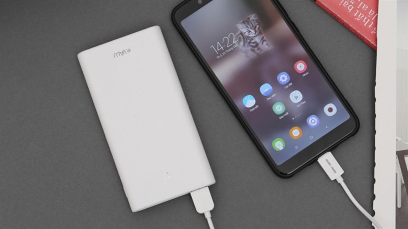 Pin sạc dự phòng Polymer 10.000 mAh Lightning eValu PJ JP189SL 