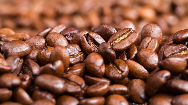 Giá cà phê trong nước hôm nay Giá cà phê trong nước hôm nay