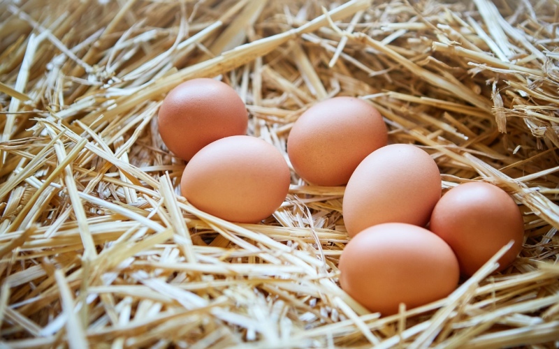 Giá trứng gà hôm nay ngày 18/03 Giá trứng gà hôm nay ngày 18/03