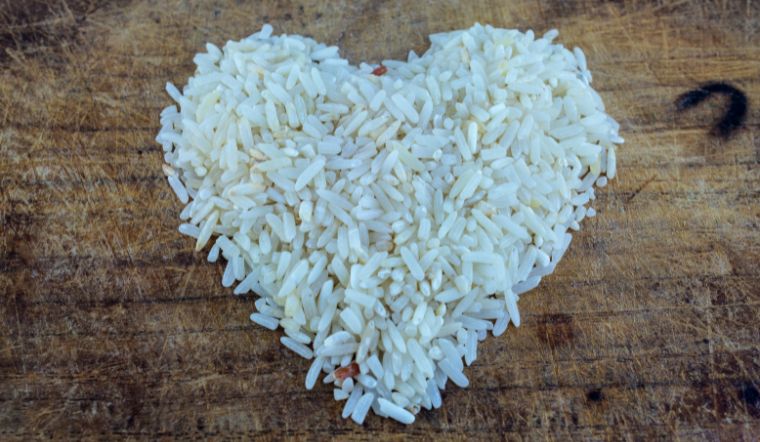 Giá lúa gạo hôm nay 18/3/2023: Tăng giá ở nhiều giống lúa