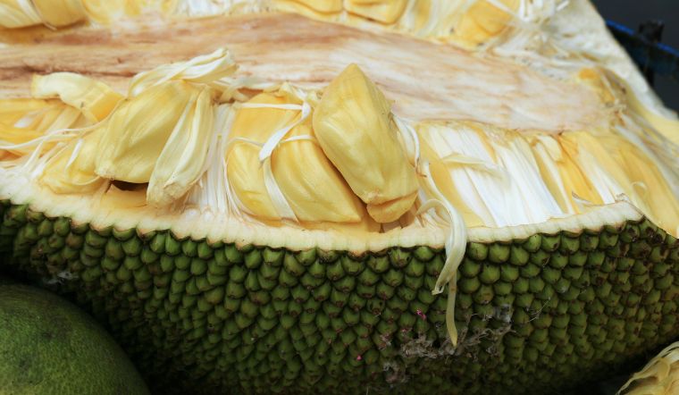 Giá mít Thái hôm nay 18/03/2023: Không thay đổi nhiều