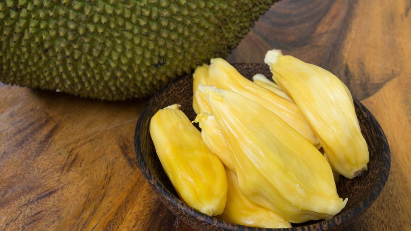 Bón phân hữu cơ cho cây mít Thái loại nào tốt?