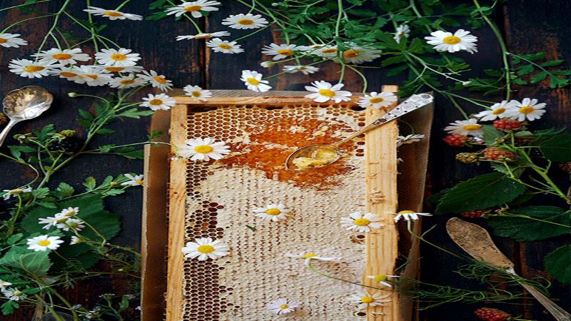 Mật ong hoa cà phê Đắk Lắk là gì?