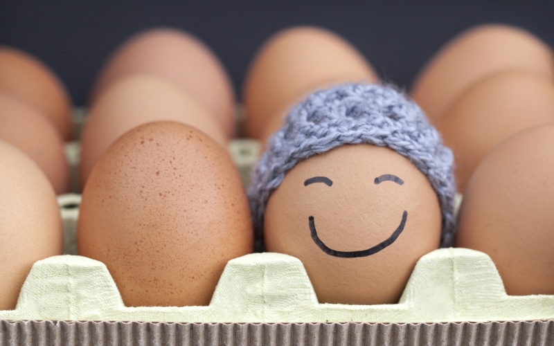 Giá trứng gà hôm nay ngày 20/03