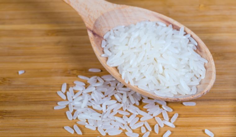 Giá lúa gạo hôm nay 20/3/2023: Tiếp tục có sự điều chỉnh mới