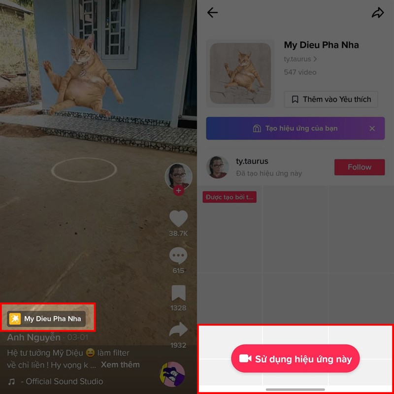 Hướng dẫn cách dùng filter Mỹ Diệu ngồi sập nhà