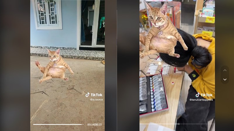 Hướng dẫn cách dùng filter Mỹ Diệu ngồi sập nhà