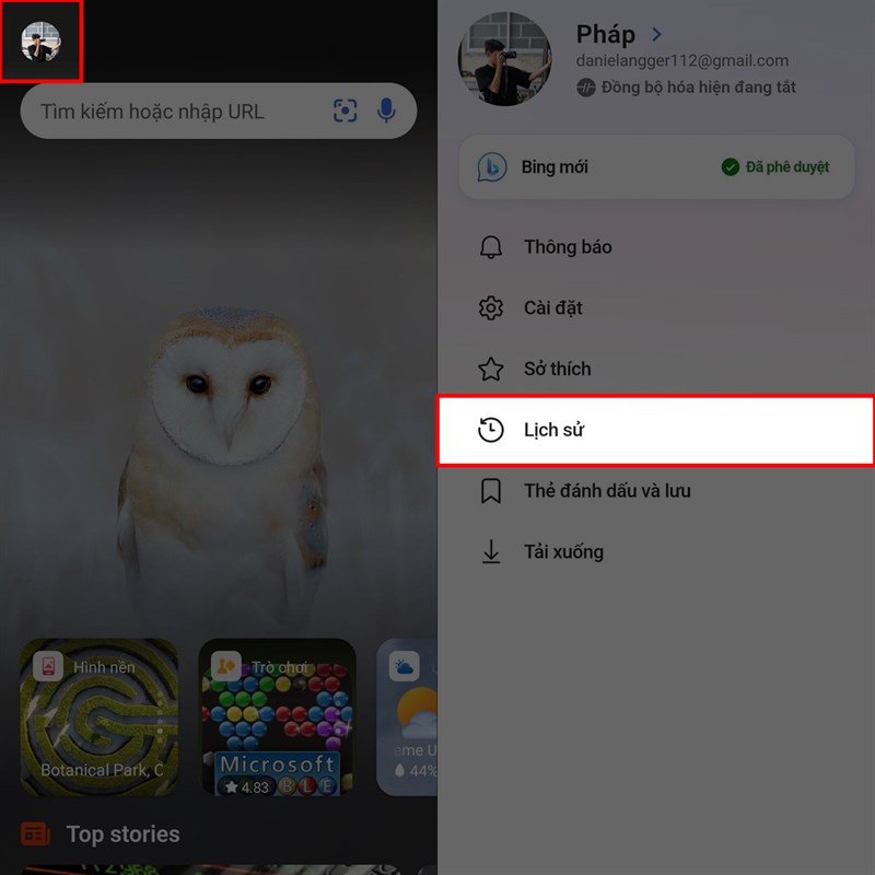 Cách xem lịch sử duyệt web Bing AI trên Android