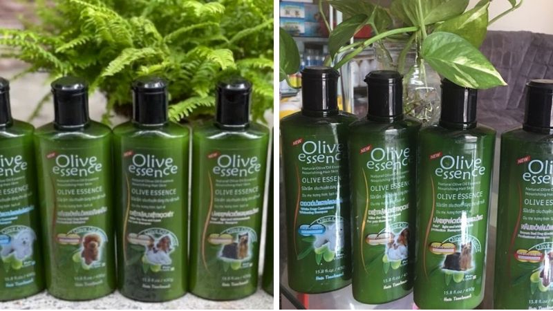 Sữa tắm diệt khuẩn - Olive Essence Insecticidal Anti-Acarid