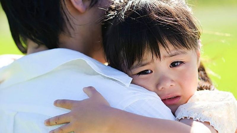 Phát triển dần về cảm xúc và nhận thức ở trẻ mới tập đi Phát triển dần về cảm xúc và nhận thức ở trẻ mới tập đi