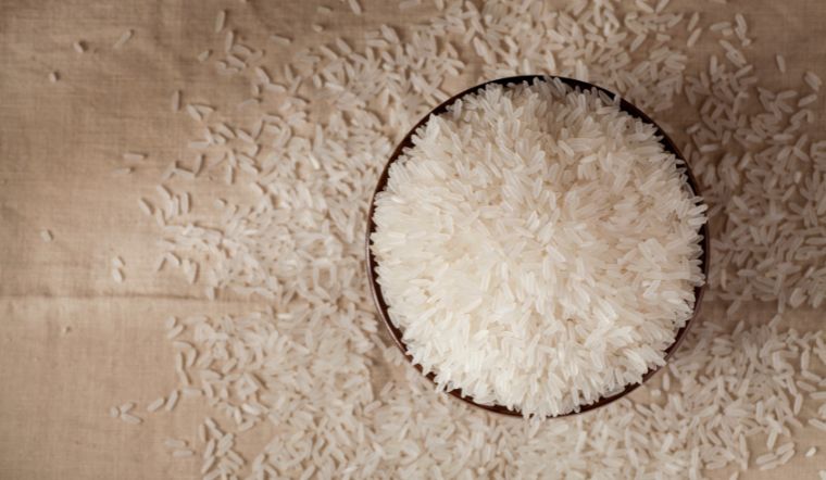 Giá lúa gạo hôm nay 22/3/2023: Giá lúa tiếp tục tăng