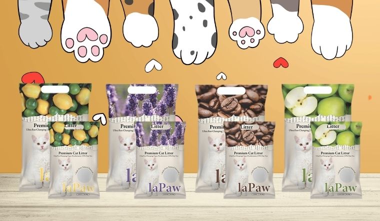 Top 4 sản phẩm cát vệ sinh cho mèo Lapaw chính hãng, giá tốt trên thị trường