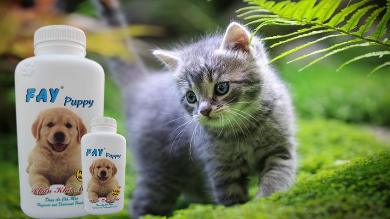 Phấn tắm khô cho chó mèo Fay Puppy
