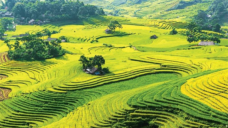 Thuận Châu là một điểm đến lý tưởng cho những ai muốn khám phá vẻ đẹp thiên nhiên hoang sơ