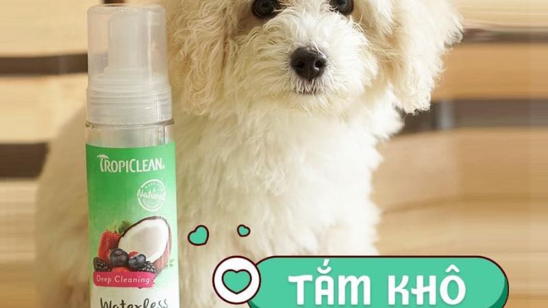 Top 10 dry shower gel for dogs with long-lasting scent, effective odor removal