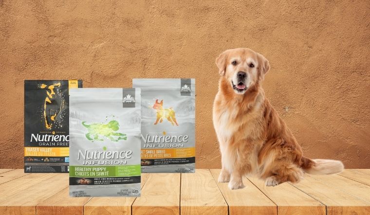 Top 3 thức ăn hạt cho chó Nutrience chất lượng, giá tốt hiện nay