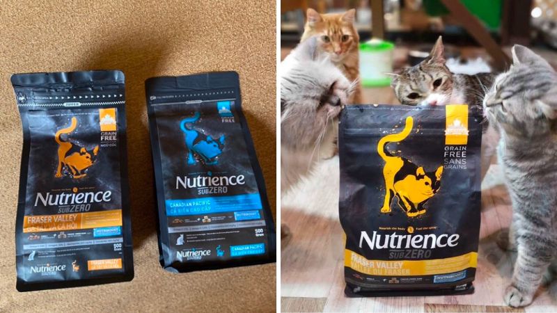 Một số câu hỏi thường gặp về thức ăn hạt cho mèo Nutrience