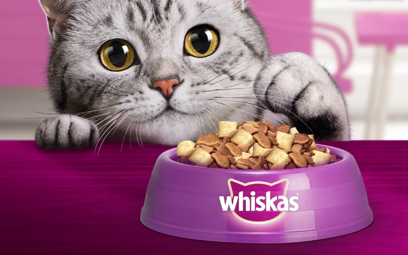 Lợi ích của thức ăn hạt cho mèo Whiskas