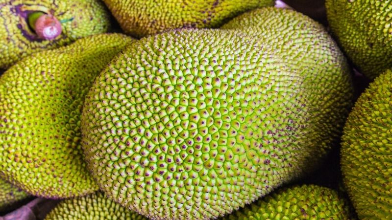 Giá mít Thái hôm nay 23/03/2023