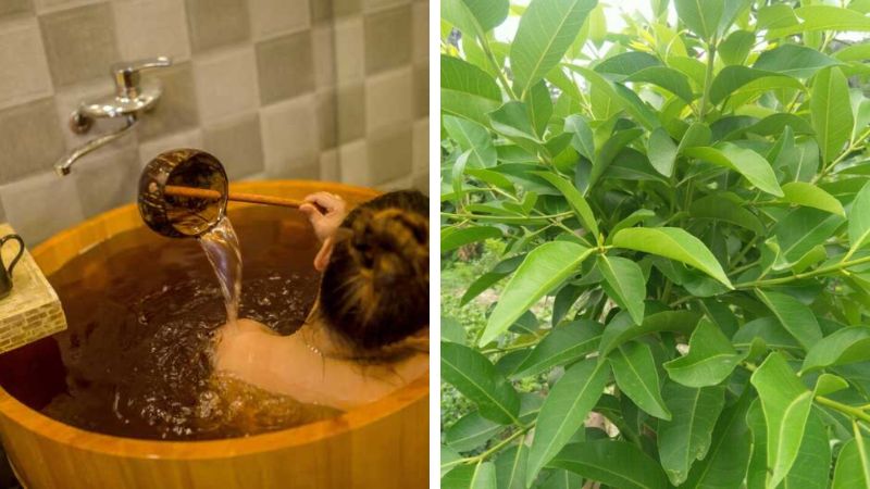 How to bathe with Vo leaf water to make the body fragrant