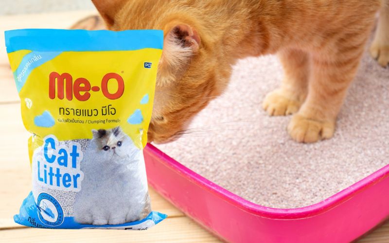 Cát vệ sinh cho mèo Me-O không mùi Cát vệ sinh cho mèo Me-O không mùi