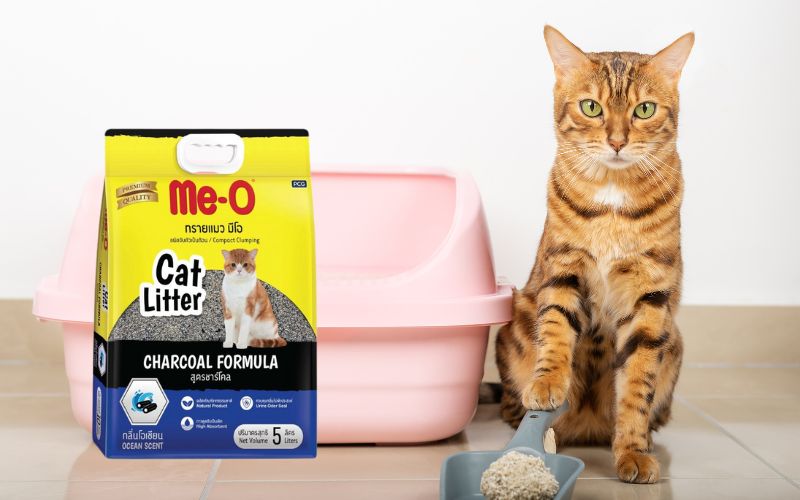 Cát vệ sinh cho mèo Me-O hương than hoạt tính Cát vệ sinh cho mèo Me-O hương than hoạt tính