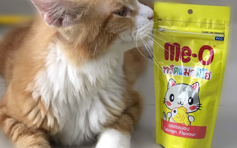 Một số câu hỏi thường gặp về bánh thưởng cho mèo Meo-O