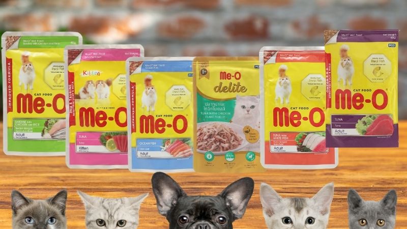 Top 6 nutritious Me-O cat wet food, popular with many people