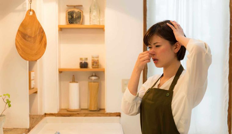 6 lý do khiến nhà bạn có mùi hôi mốc và cách khắc phục đơn giản