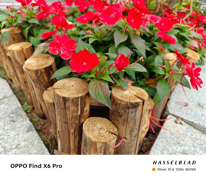 Ảnh được chụp bởi camera chính của OPPO Find X6 Pro Ảnh được chụp bởi camera chính của OPPO Find X6 Pro