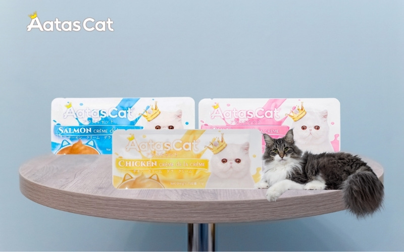 Lợi ích của sốt dinh dưỡng cho mèo Aatas Cat