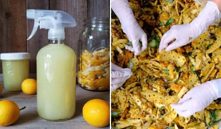 Tận dụng vỏ trái cây làm dung dịch đuổi muỗi, sâu bọ và để lau sàn cực hay