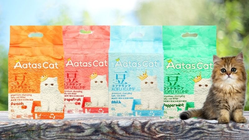 Top 4 prestigious and quality Aatas Cat cat litter
