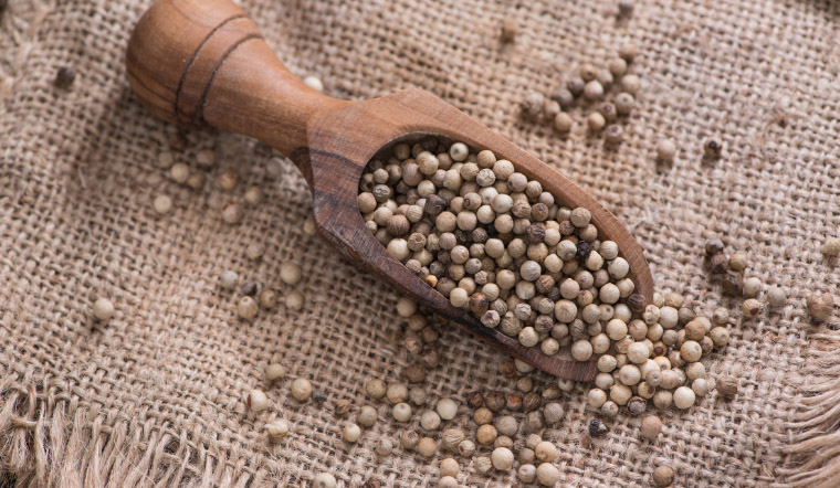 Giá tiêu hôm nay 27/3/2023: Không có biến động so với cuối tuần trước