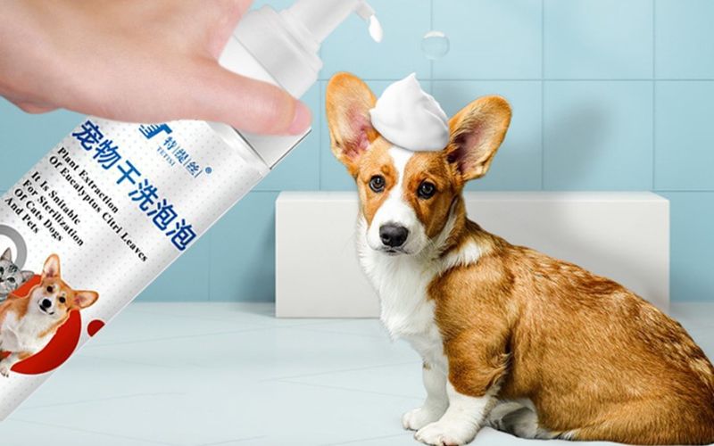 Benefits of dry bathing for dogs