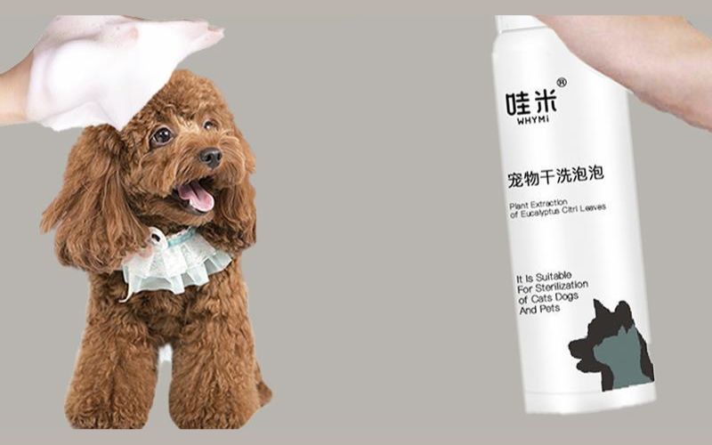 Where to buy and price of dry bathing milk for dogs