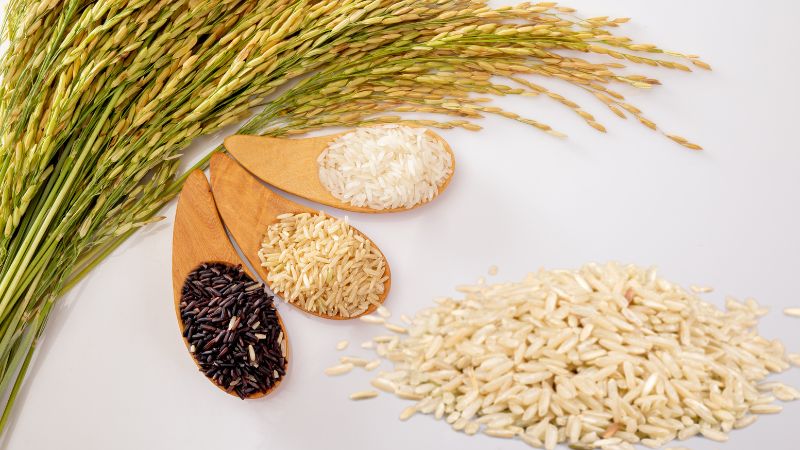 Giá gạo hôm nay 28/3 Giá gạo hôm nay 28/3