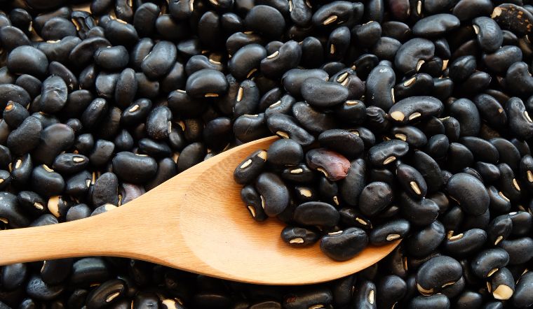 Nuốt hạt đậu đen sống có thực sự chữa được nhiều bệnh tật?