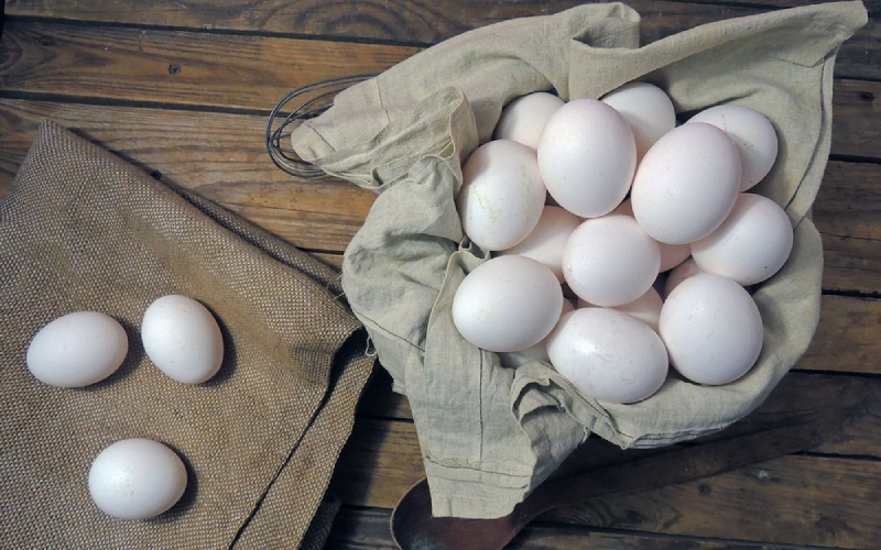 Giá trứng gà hôm nay ngày 29/03 Giá trứng gà hôm nay ngày 29/03